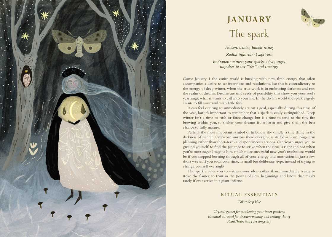 Calendario planificador 2027 Seasons of the Witch de Lorriane Anderson