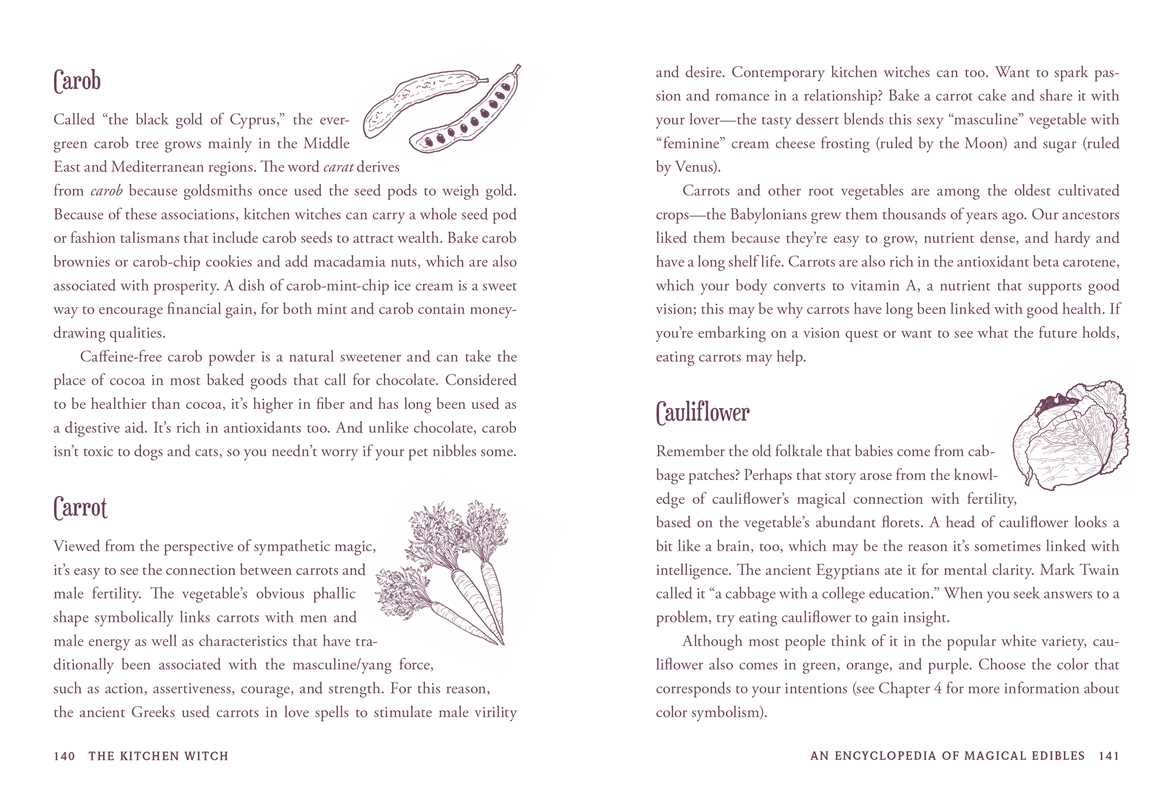 Bruja de cocina por Skye Alexander