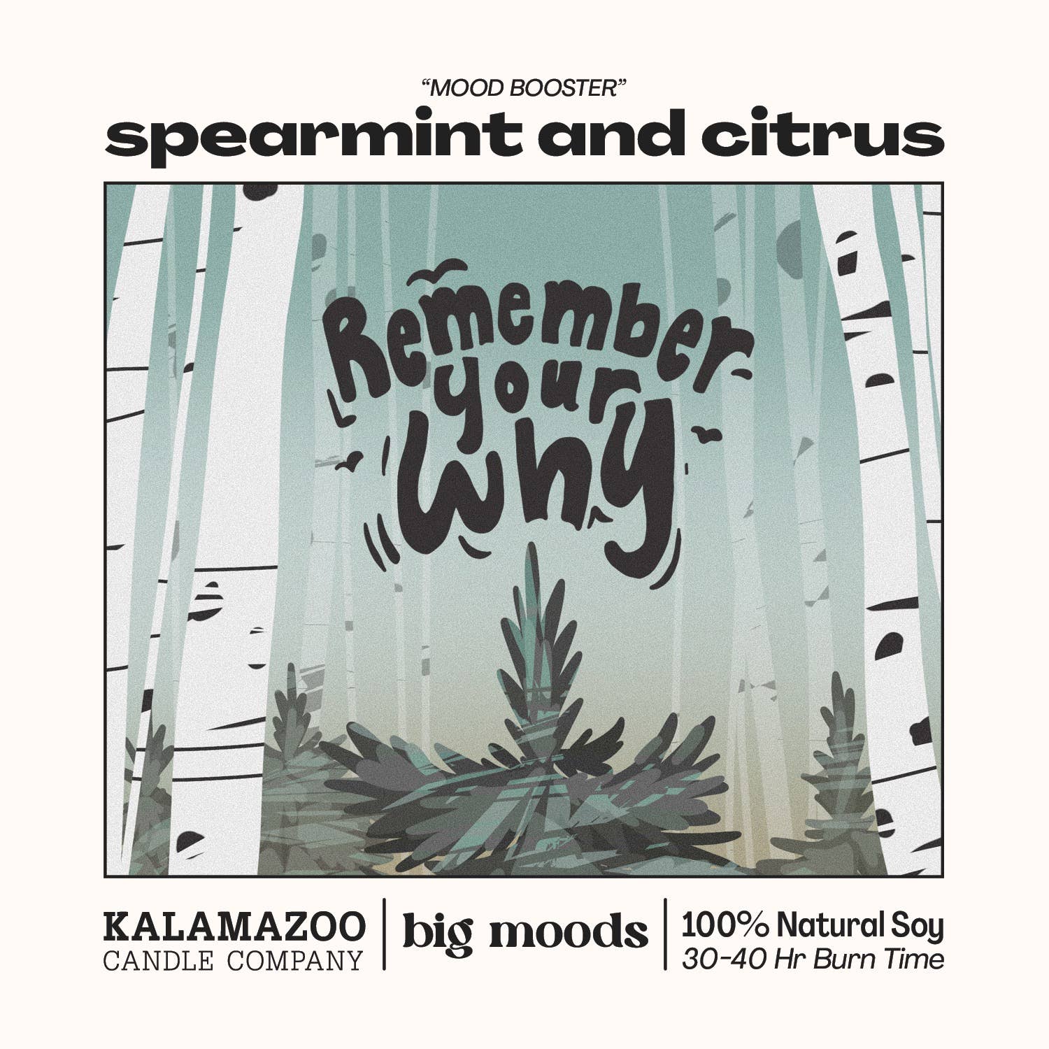 "Remember Your Why" 100% Soy Candle